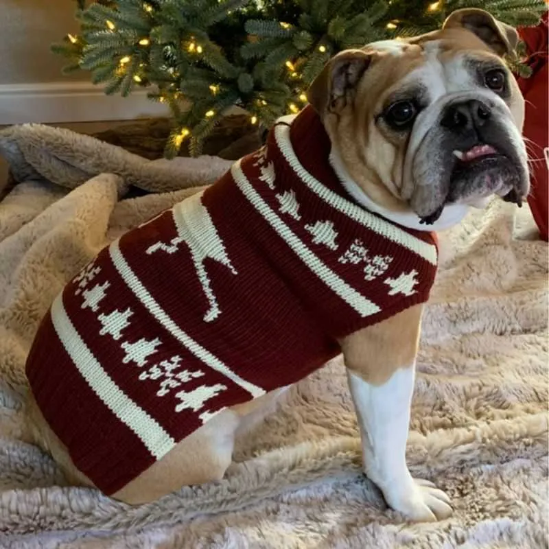 Christmas Moose Dog Jumper