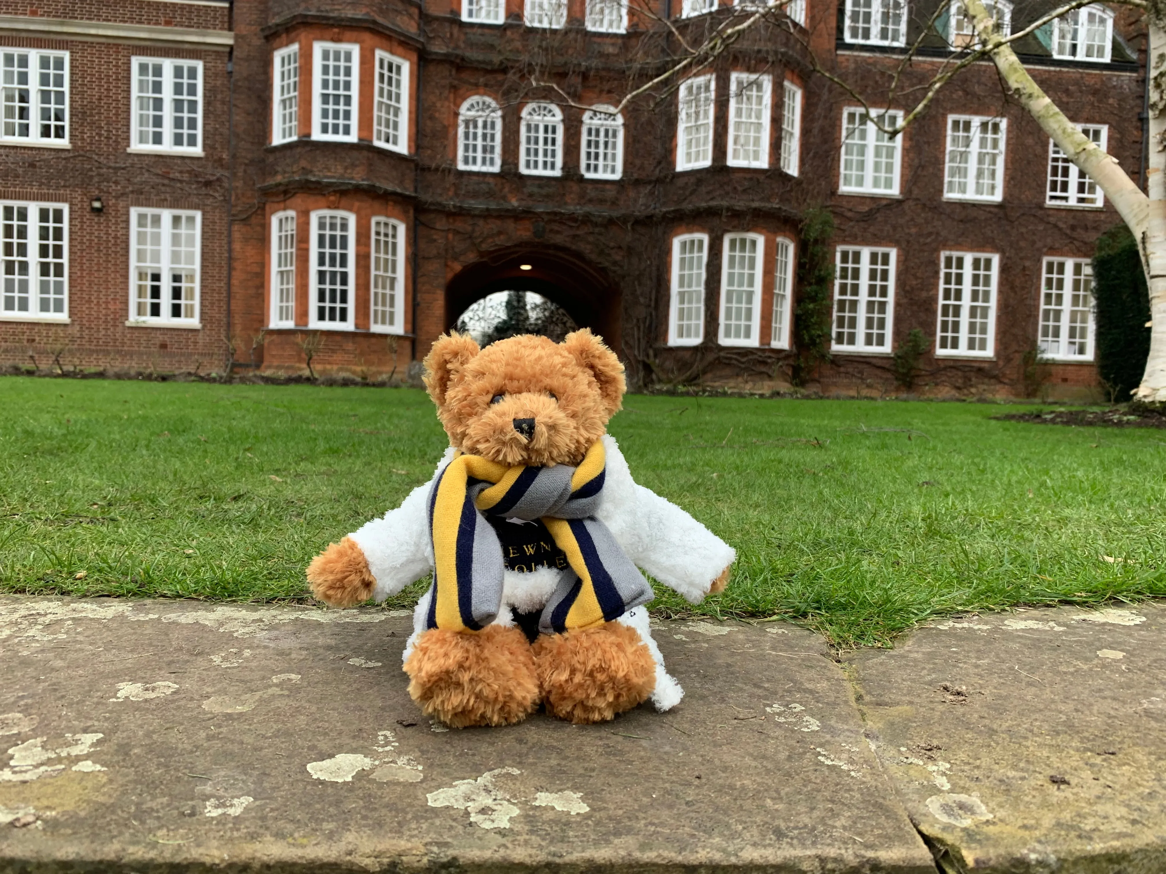 Newnham Teddy Bear (and accessories)