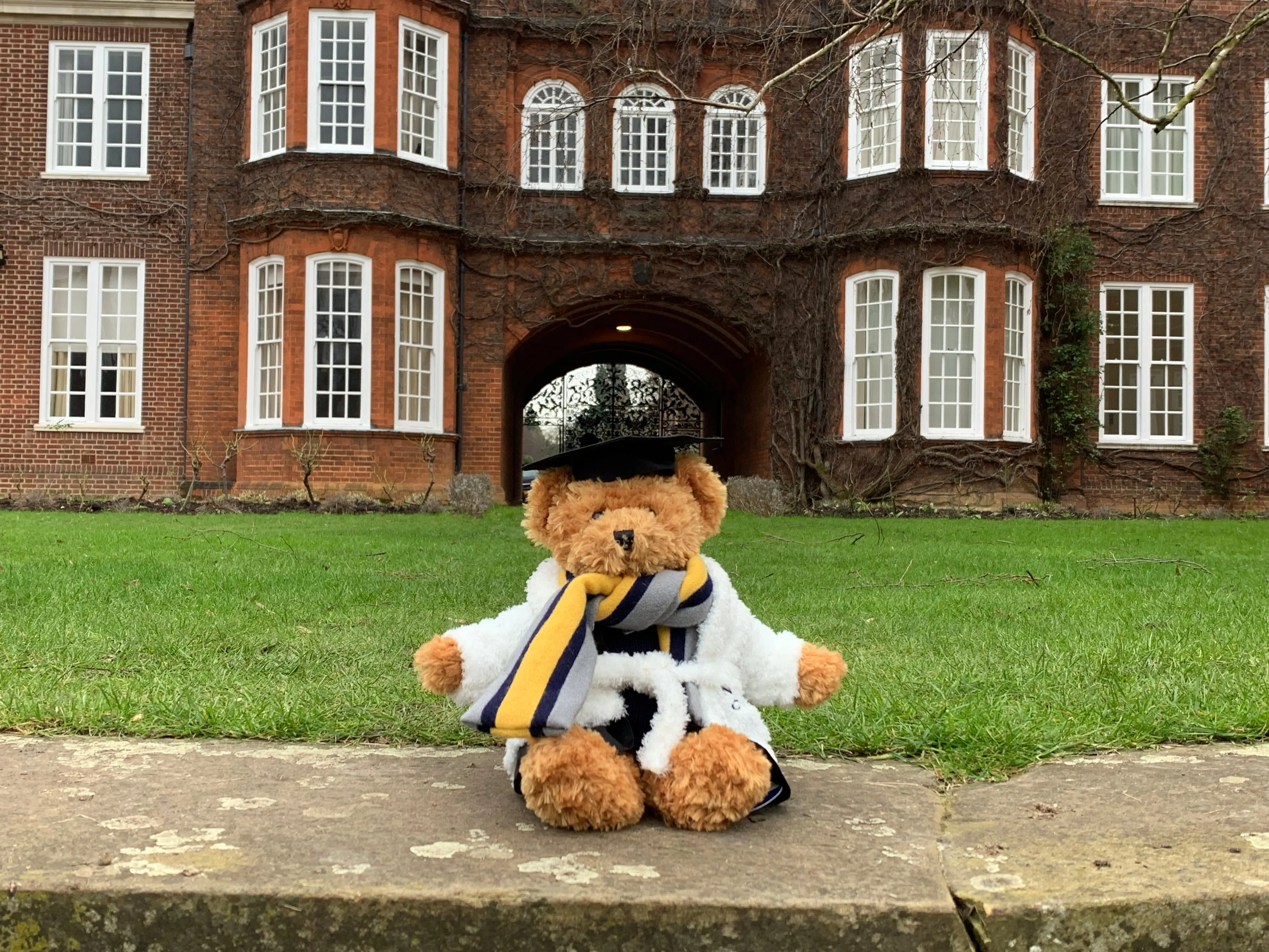 Newnham Teddy Bear (and accessories)