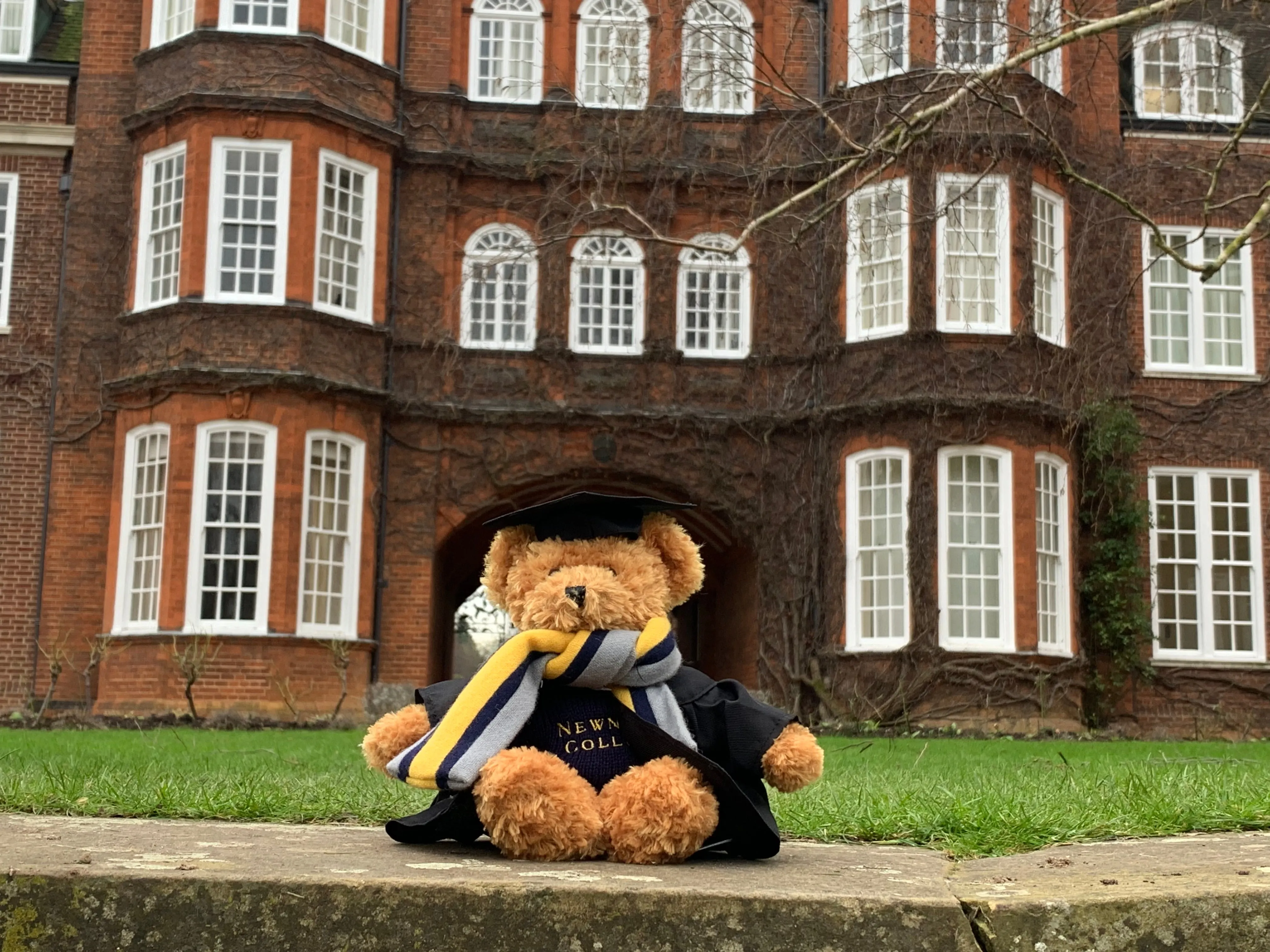 Newnham Teddy Bear (and accessories)