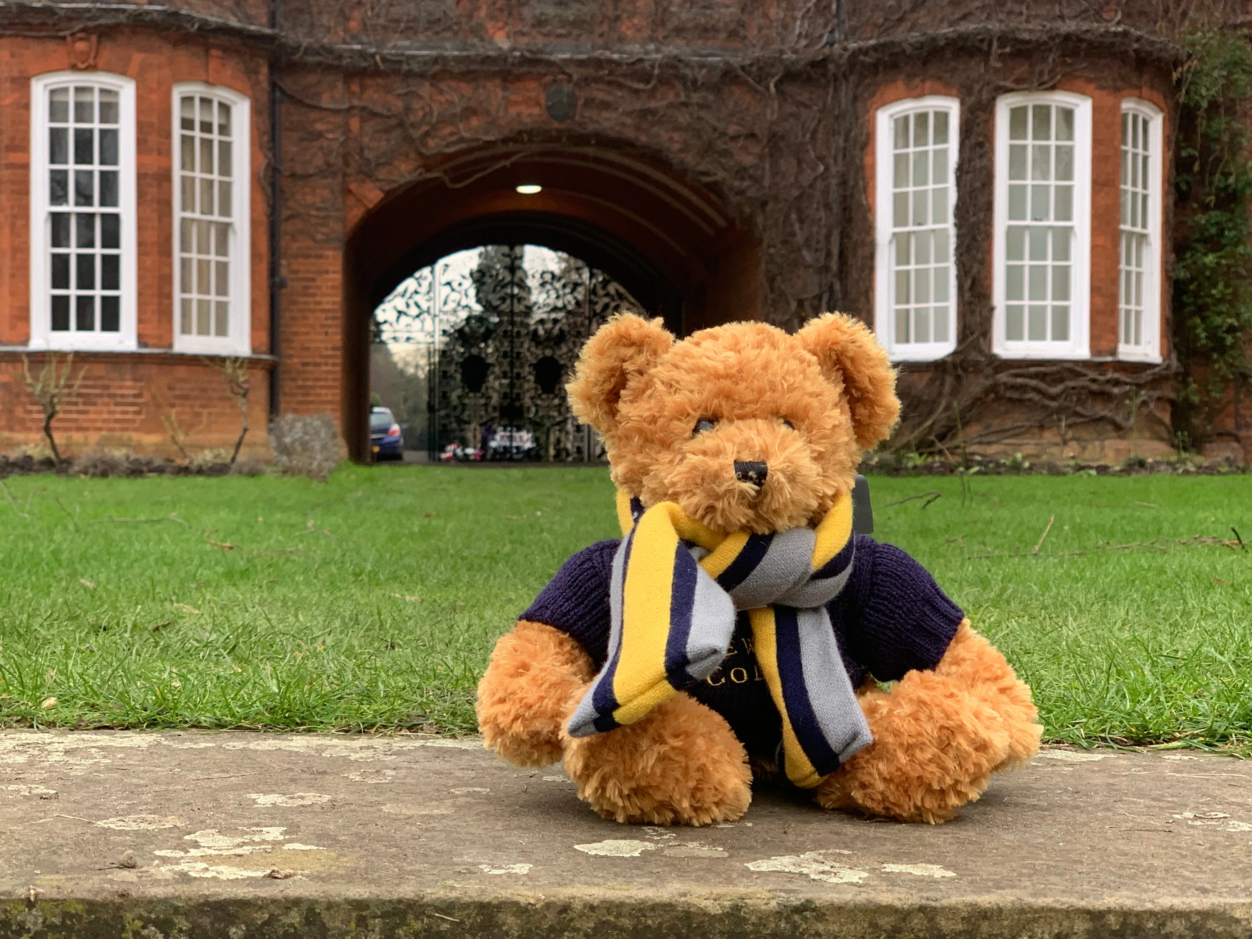 Newnham Teddy Bear (and accessories)